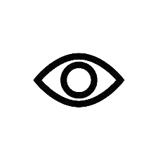 Vision Icon